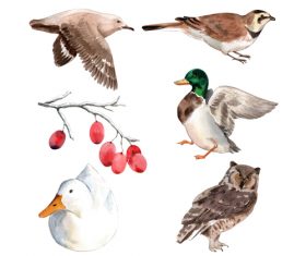 Bird watercolor illustration vector