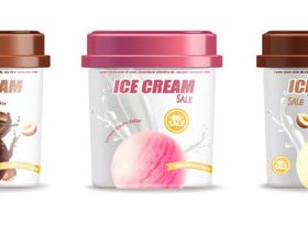 Boxed ice cream vector