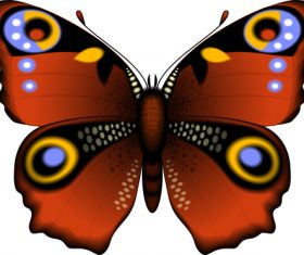 Brown butterfly vector