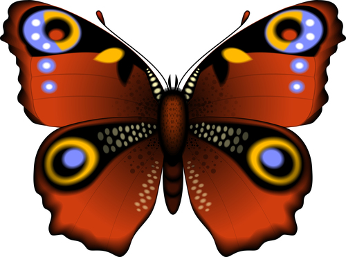 Brown butterfly vector