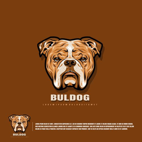 Bulldog logo vector