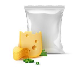 Cheese and green onion vector