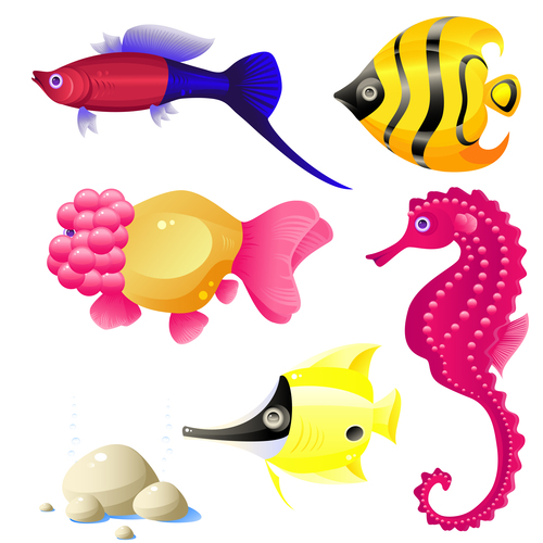 Goldfish seahorse illustration vector