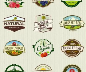 Organic food labels and badges vector