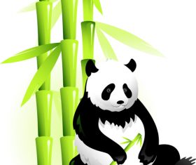 Panda vector
