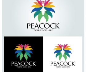 Peacock logo design vector