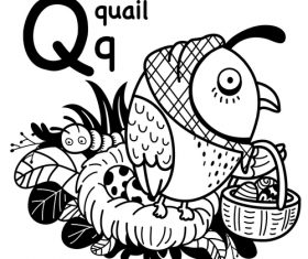 Quail english word cartoon illustration vector