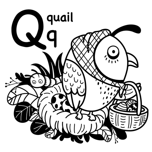 Quail english word cartoon illustration vector