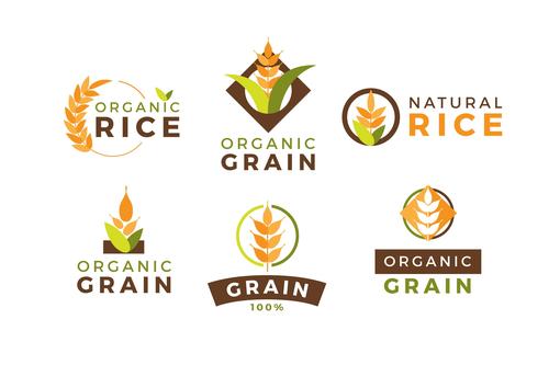 Rice logo collection vector