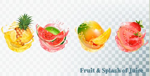 Splash of juice and fresh fruit vector
