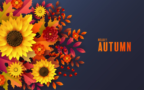 Sunflower background autumn card vector