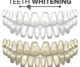 Teeth whitening vector