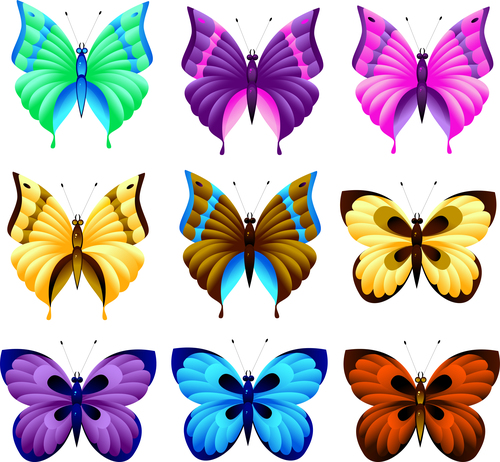 Various butterflies illustration vector