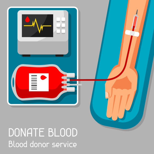 Donate blood vector