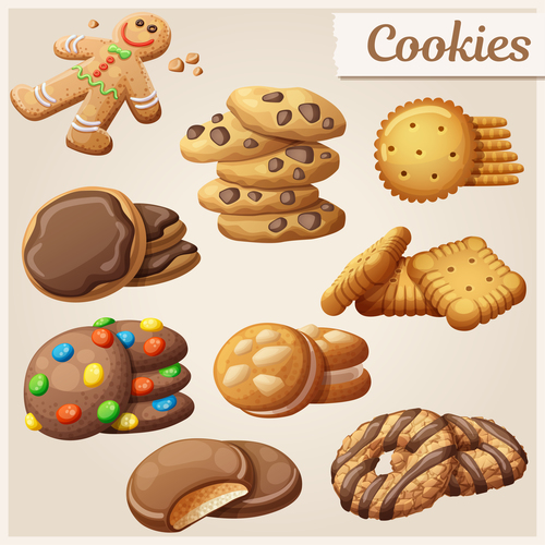 Various biscuits vector