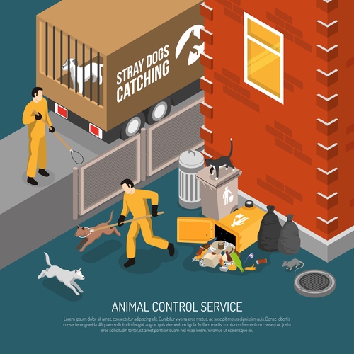 Animal control illustration vector