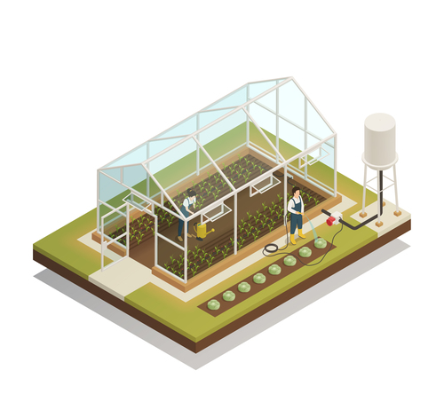 Greenhouse isometric composition vector