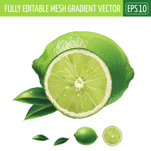Green lemon 3d illustration vector