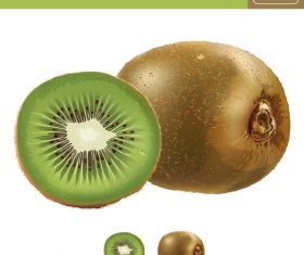 Kiwi 3d illustration vector