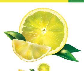 Lemon 3d illustration vector