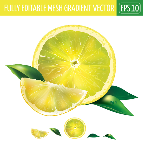 Lemon 3d illustration vector