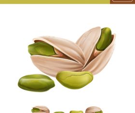 Nut 3d illustration vector