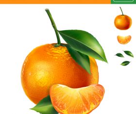Orange 3d illustration vector