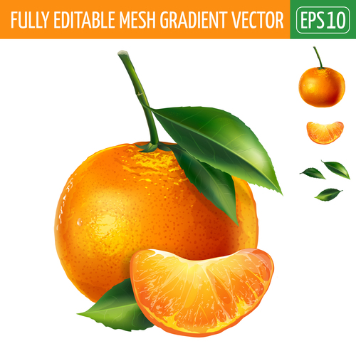 Orange 3d illustration vector