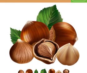 Pine nuts 3d illustration vector
