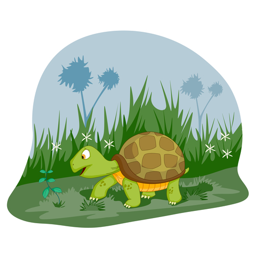 Tortoise cartoon vector
