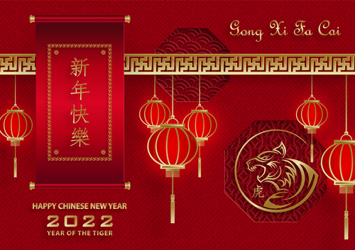 Beautiful china new year element greeting card vector