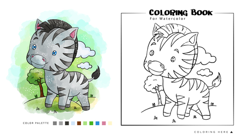 Watercolor coloring book illustration zebra vector