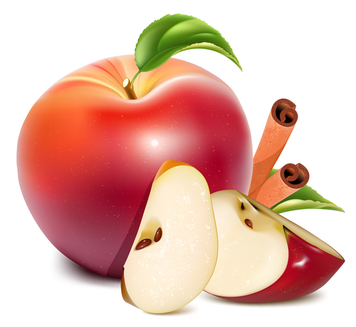 Cinnamon and red apple vector