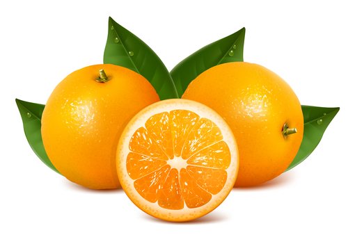 Citrus vector with green leaves