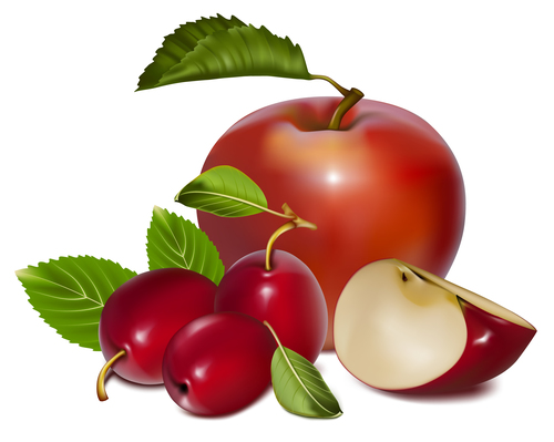 Fresh apples and cherries vector illustration