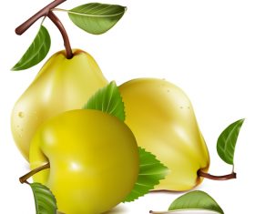 Fresh pears and apples vector illustration