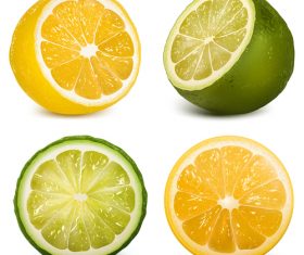 Green citrus and citrus vector