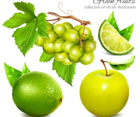 Green fruits collection vector illustration