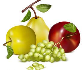 Green raisins and apples pears vector illustration