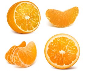 Orange petals and citrus vector