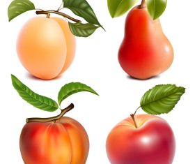 Peach pear apple vector illustration