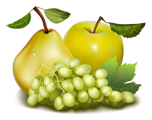 Pear green raisins and apple vector illustration