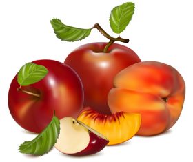 Please taste fresh fruit vector illustration