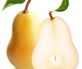 Sliced pear vector illustration
