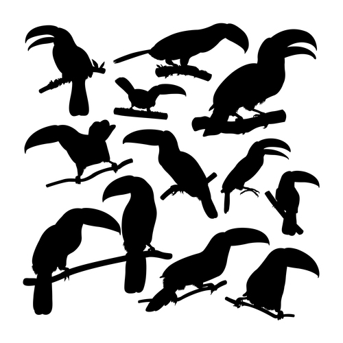 Toucan bird animal silhouettes vector