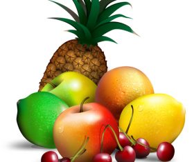 Tropical fruit vector illustration