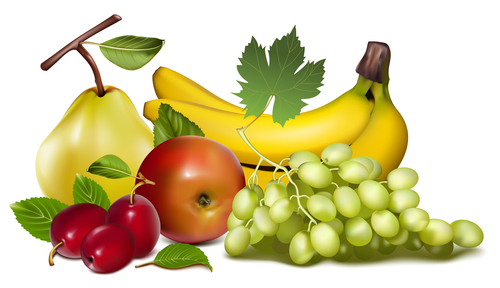 Various fresh fruits vector illustration