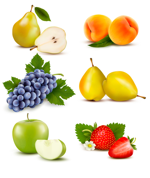 Various summer fruits vector illustration