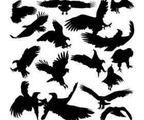 White tailed eagle animal silhouettes vector