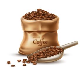 Coffee beans vector